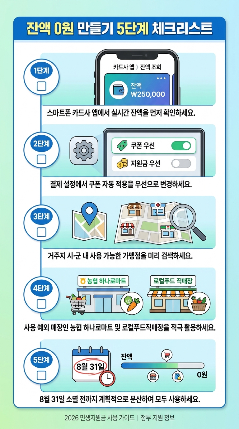 민생지원금 잔액 소진 5단계 체크리스트 인포그래픽