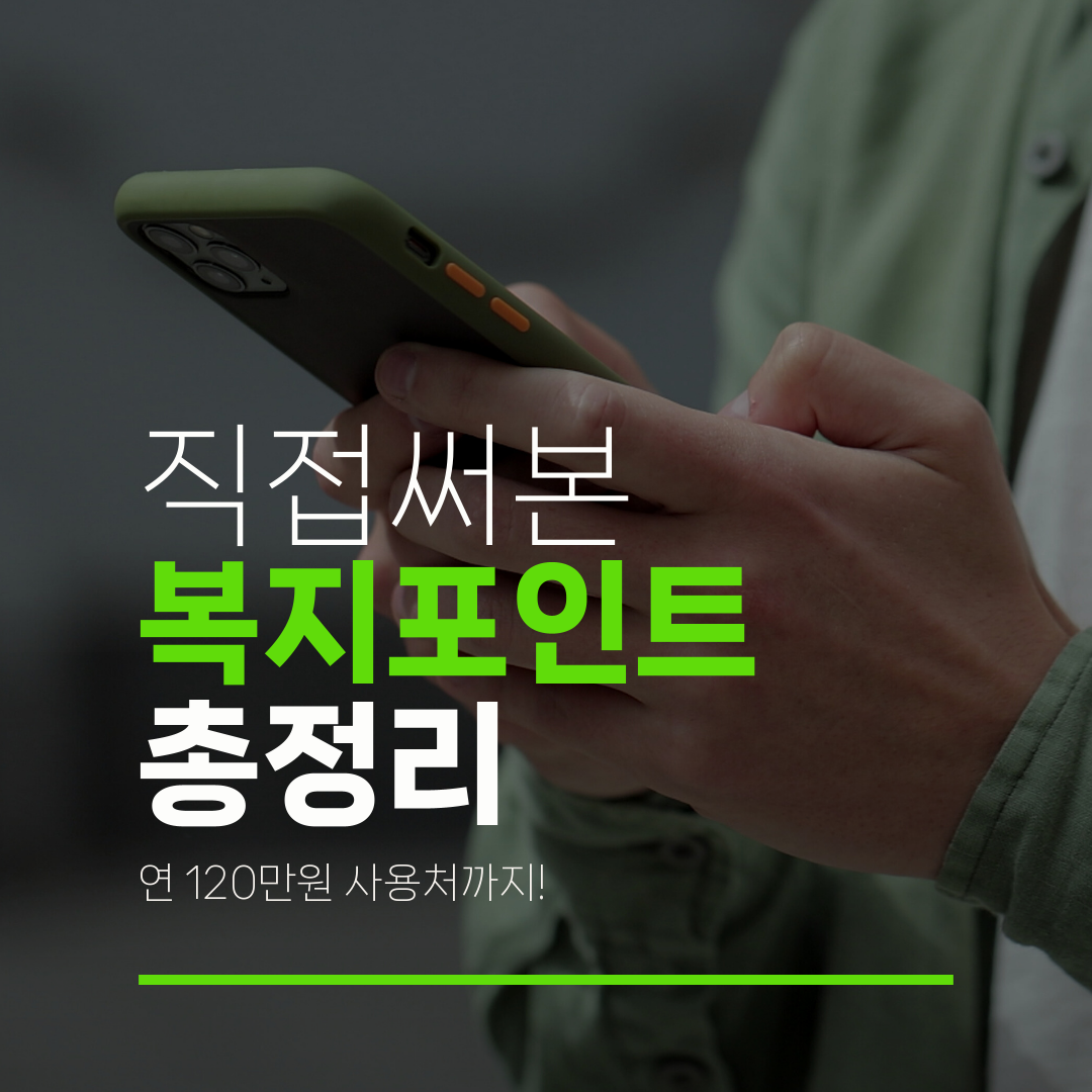 직접써본 복지포인트 총정리 연 120만원 사용처까지!